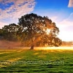 Avatar of Shabbir Abbasi